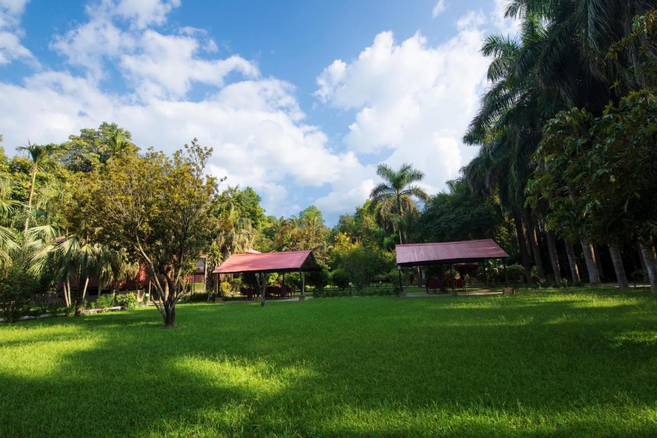 Chitwan Paradise Hotel Sauraha Exterior photo