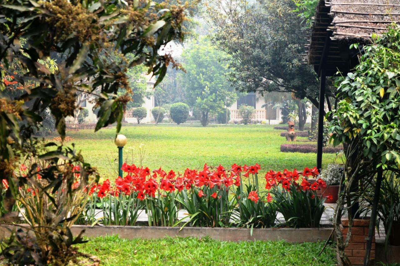 Chitwan Paradise Hotel Sauraha Exterior photo