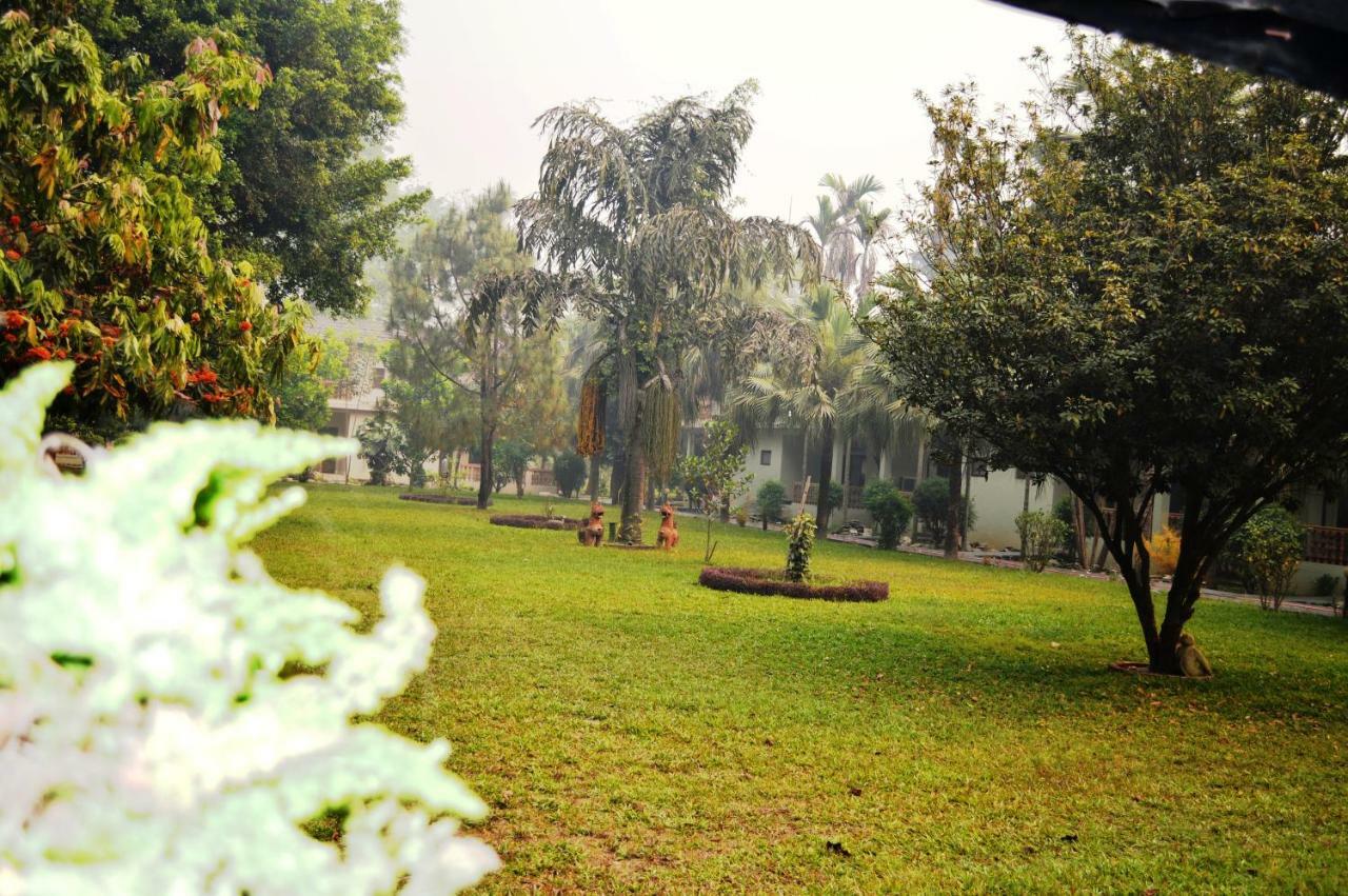 Chitwan Paradise Hotel Sauraha Exterior photo