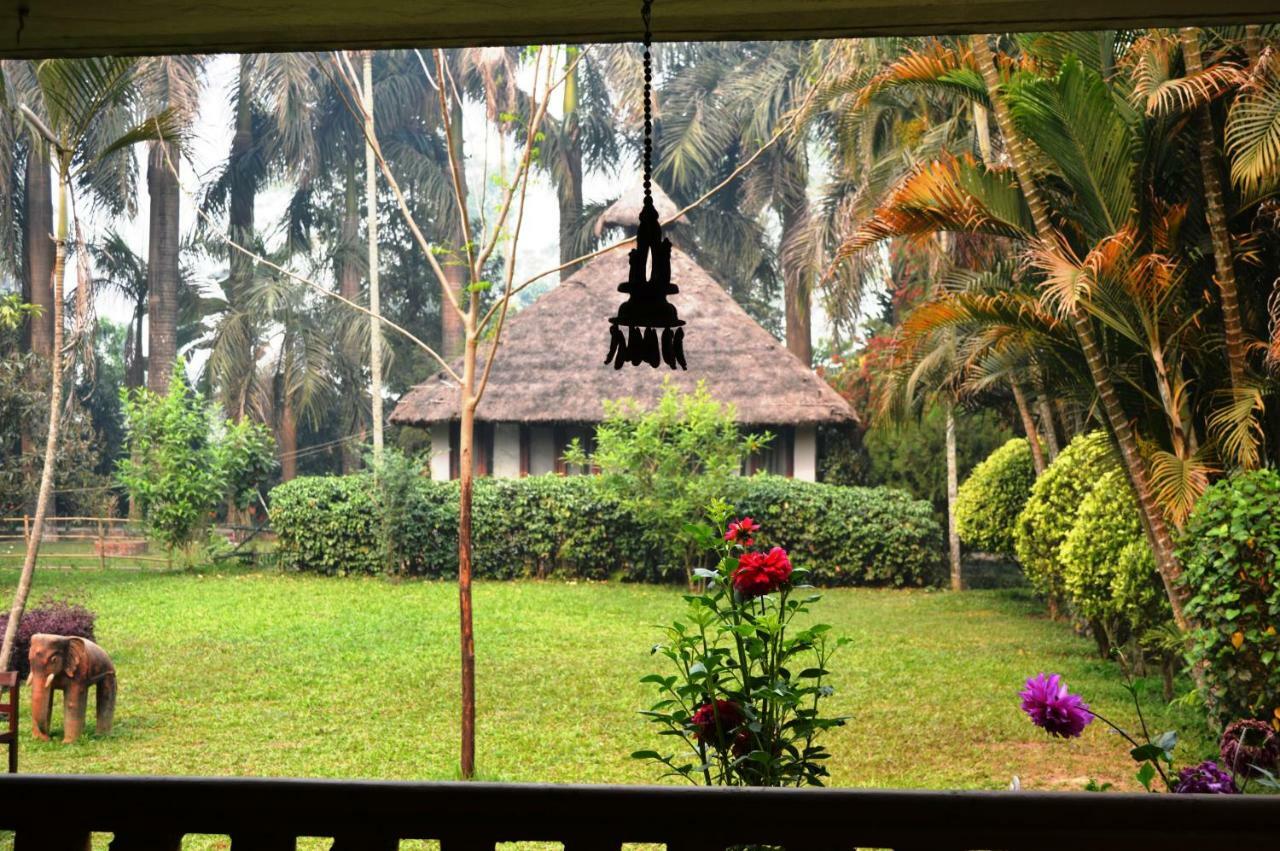 Chitwan Paradise Hotel Sauraha Exterior photo